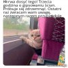 Wracam sobie ze szparagów,