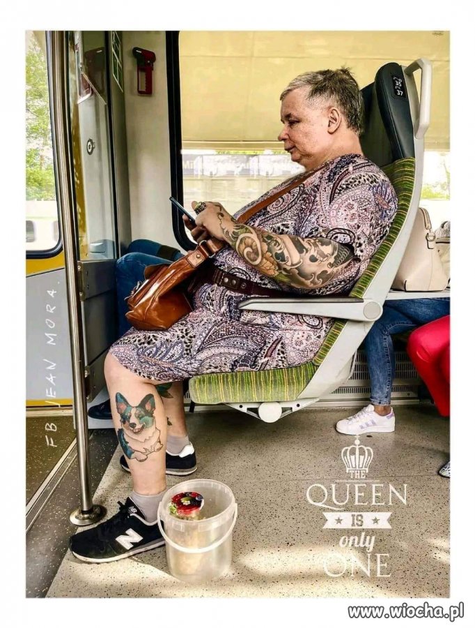 Zastanawiam się czy to nie jest ta 