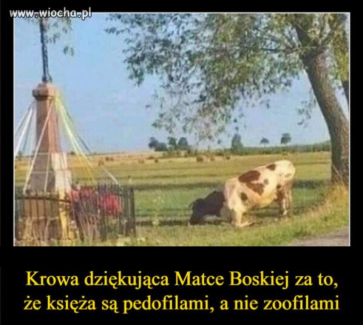 Jednak zdarzają się wyjątki, wśród kleru...