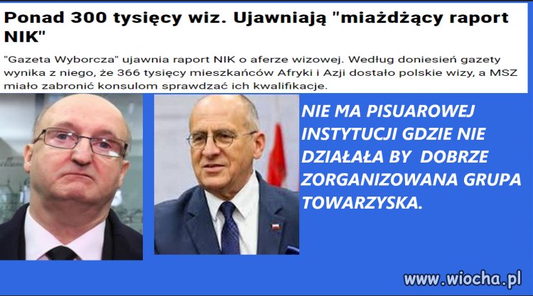 Zorganizowane grupy