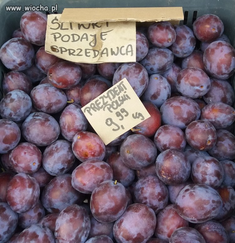 Śliwki robaczywki