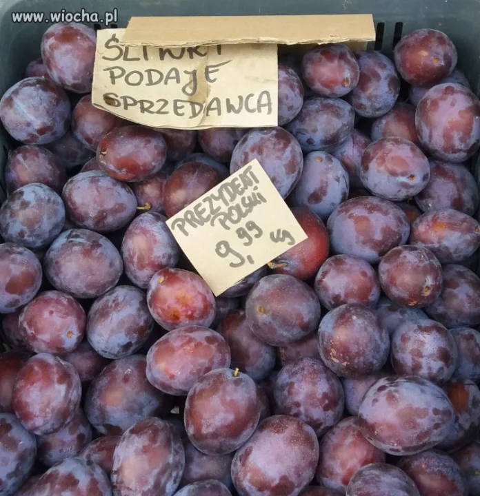 Śliwki robaczywki