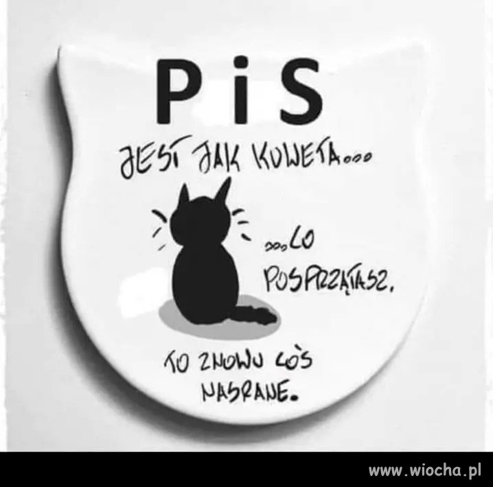 Dokładnie tak 