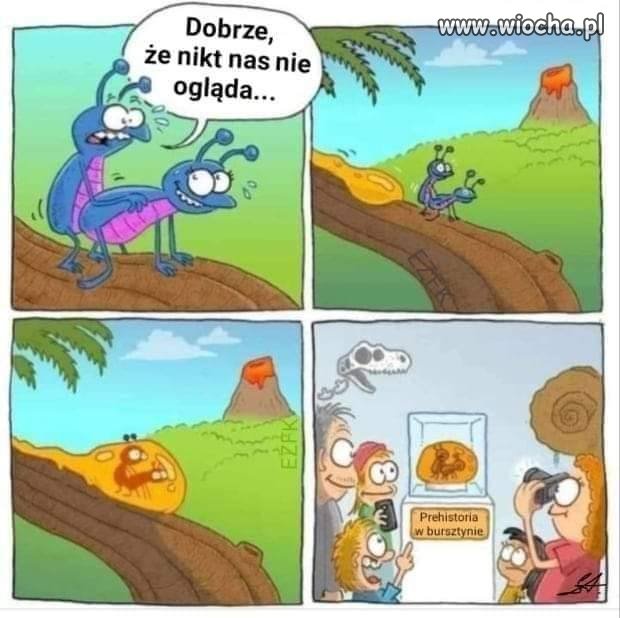 Kwestia perspektywy 