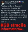 Kolaboranci