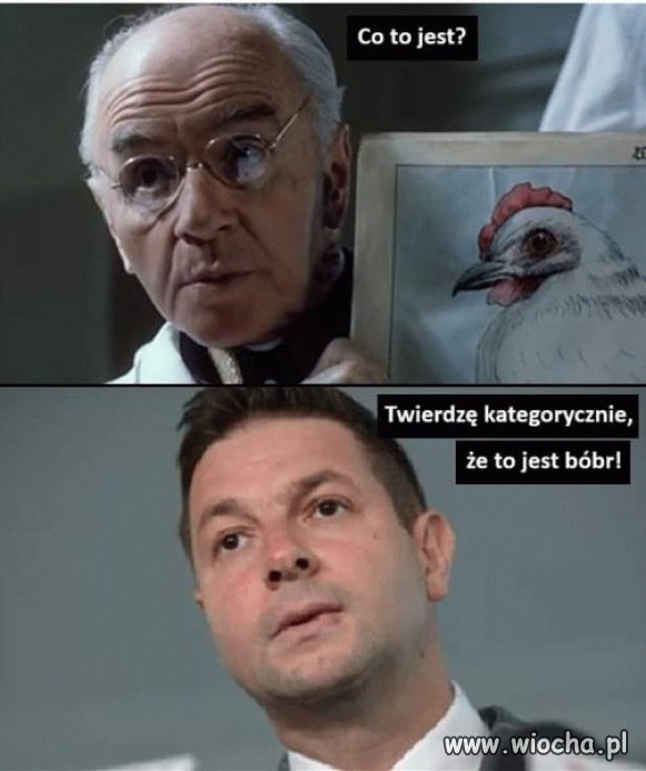 Afera bobrowa 