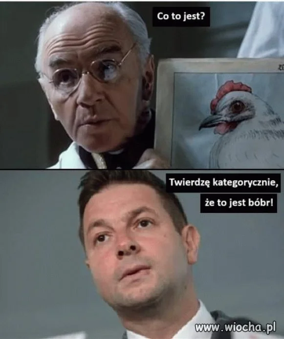 Afera bobrowa 