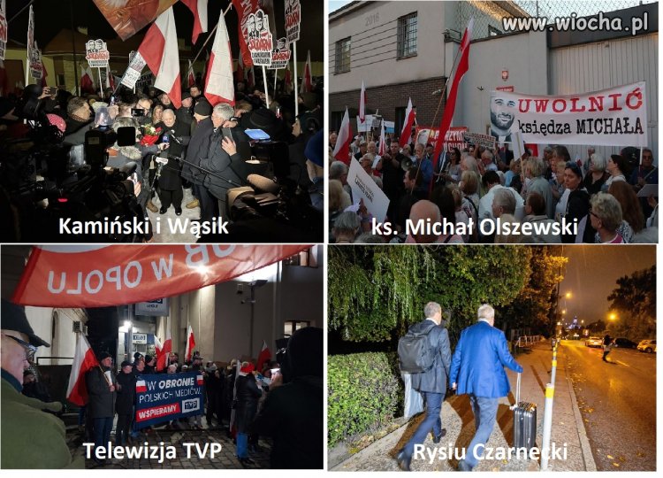 Nikt nie lubi Rysia? A taki ładny był...brukselski