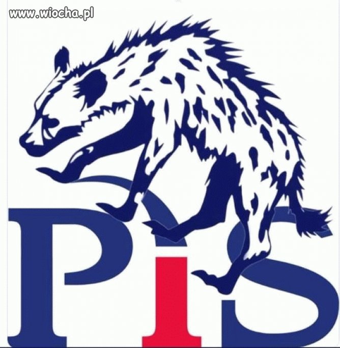 To logo bardziej pasuje