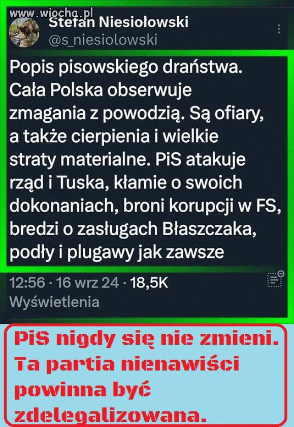 Pisowskie bydlęta w akcji
