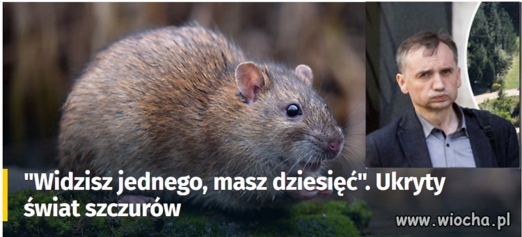 Trochę filozoficzne