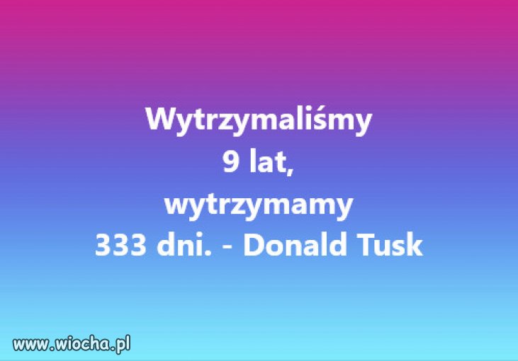 Juz tylko 333 dni wystepow blazna i jego kabaretu!