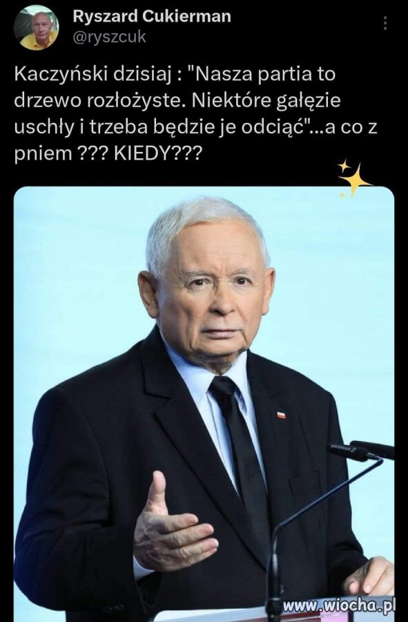 Kiedy główny konar zapłonie ?