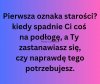 ...i stwierdzasz, że poradzisz sobie