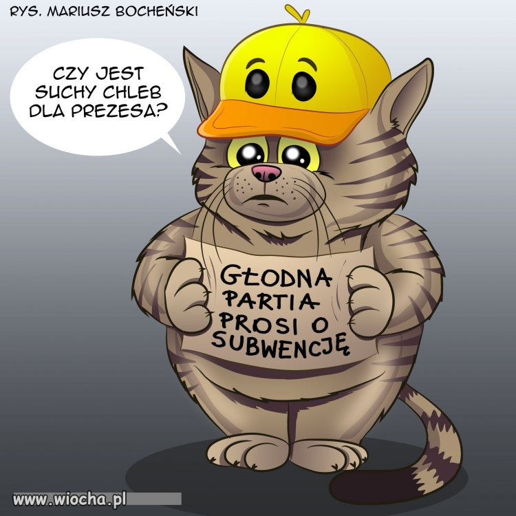 Tłuste koty wreszcie schudną ...