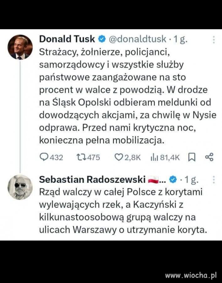 Dla liliputina 