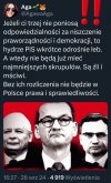 Tak to wygląda