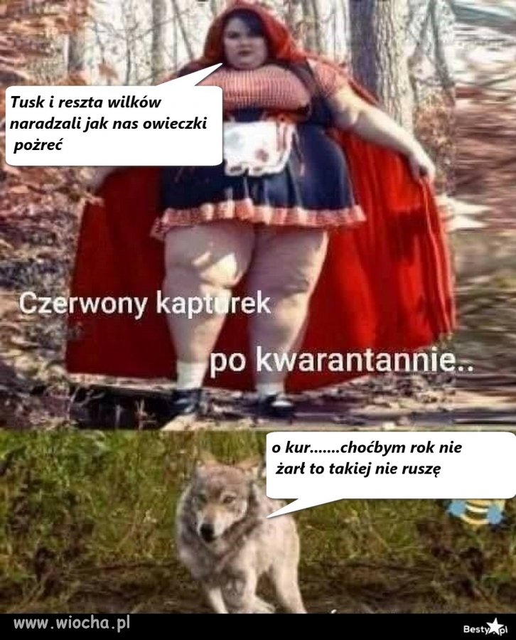 Tusk z wilkami się naradzał jak