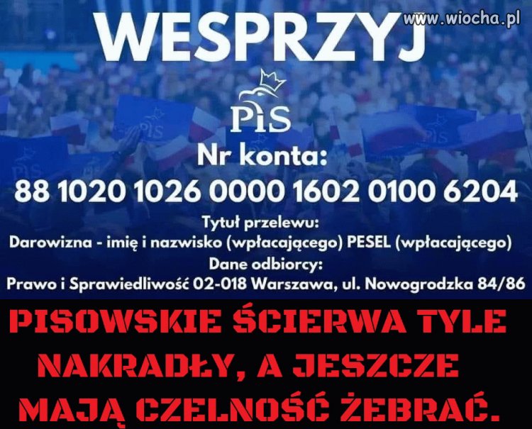 Pisowska żenada