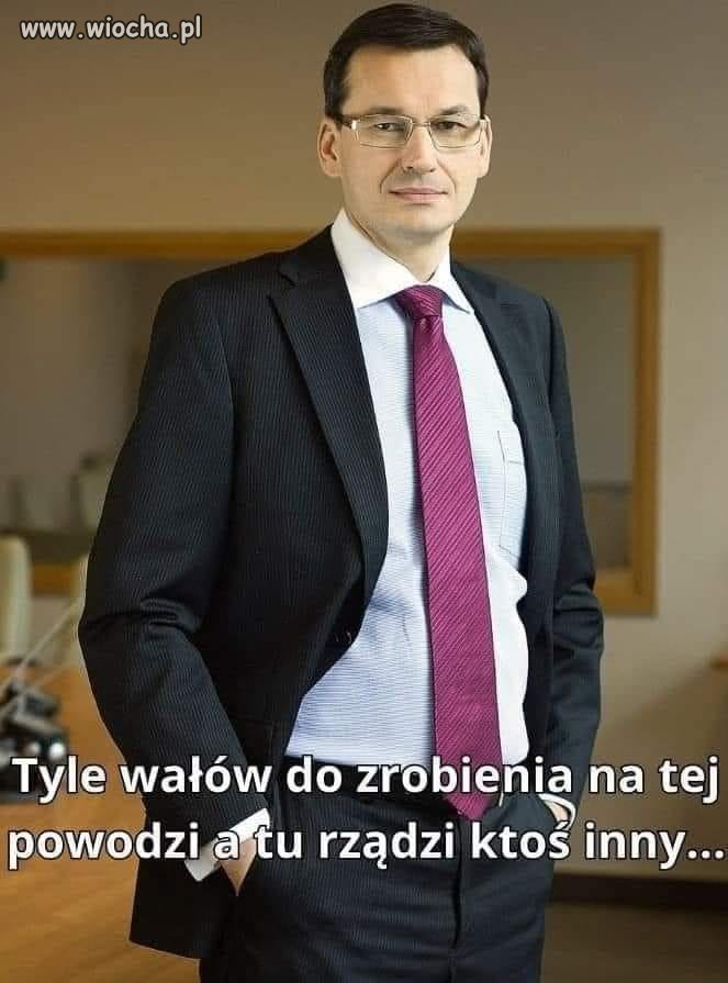 Wielki dramat Matołuszka !