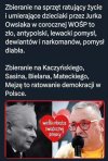 Polska to