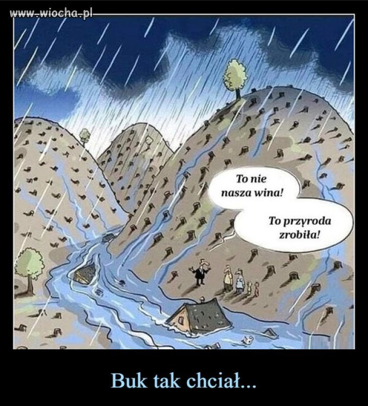 PiS wykarczowal lasy na poludniu Polski, taki rezultat!