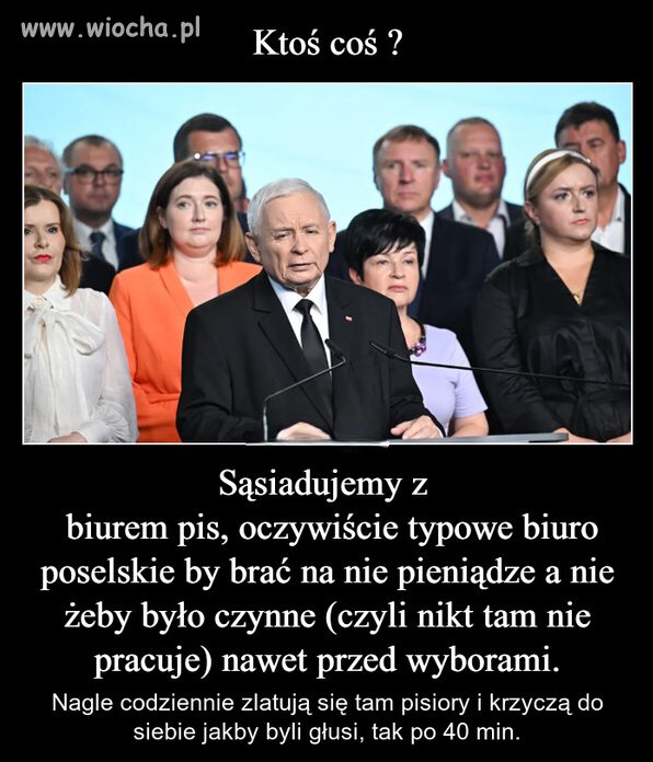 Pinki i mózg zaczyna coś knuć