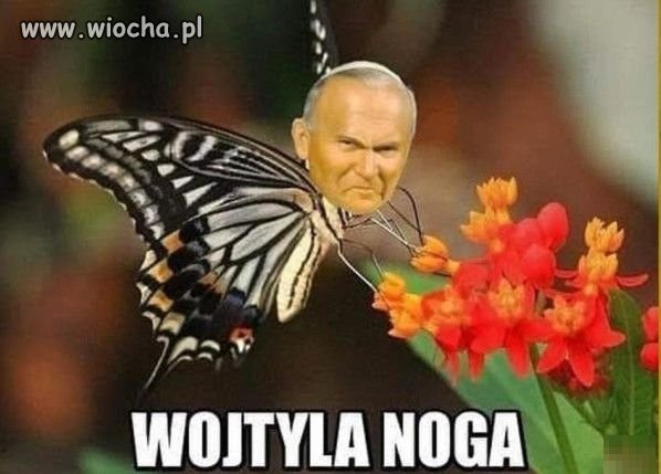 Katolickie przekleństwo?