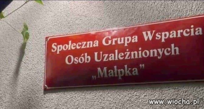 Nazwa grupy trafiona