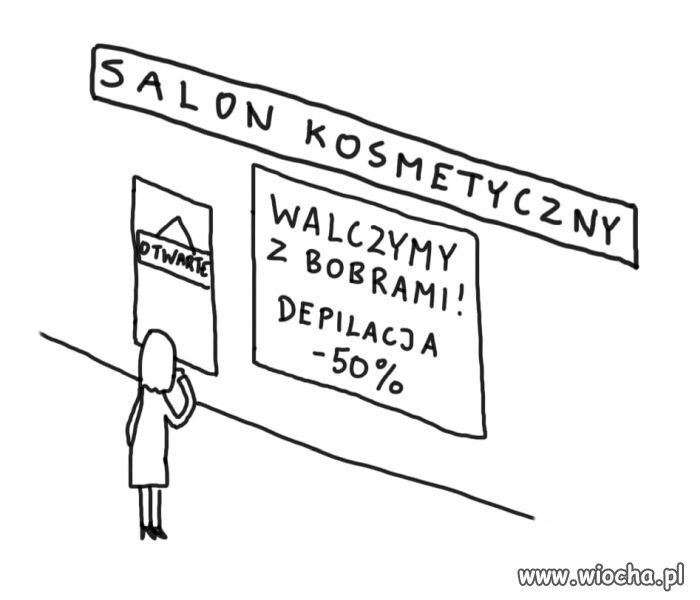 Bobry są tępione