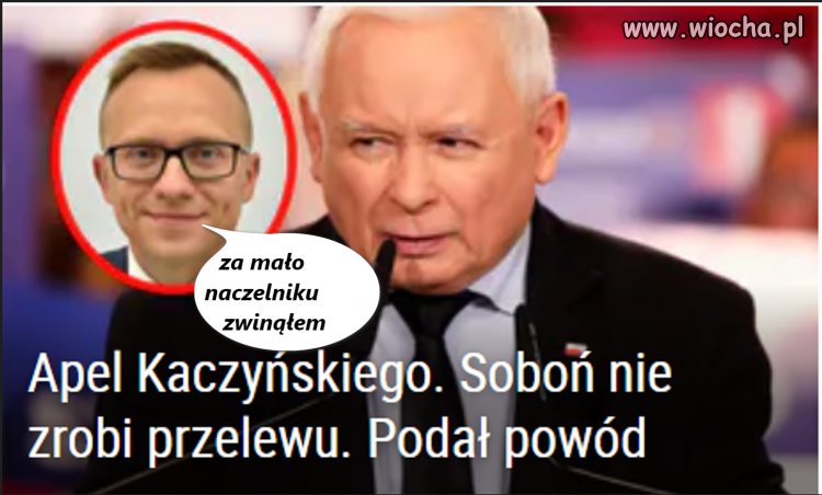 Albo gamoń