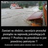 Zamiast na kaczora