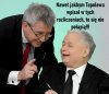Głupi i głupszy (kolejność dowolna).