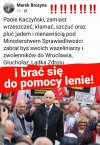 Pisowski