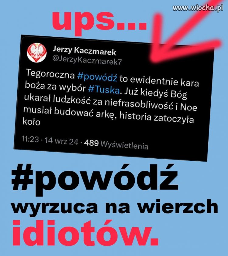 Idioci wypływają na powierzchnię ...