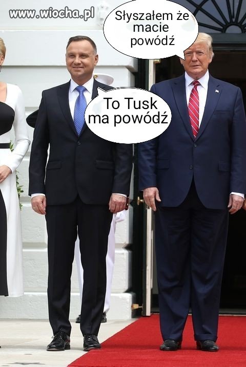 Duda