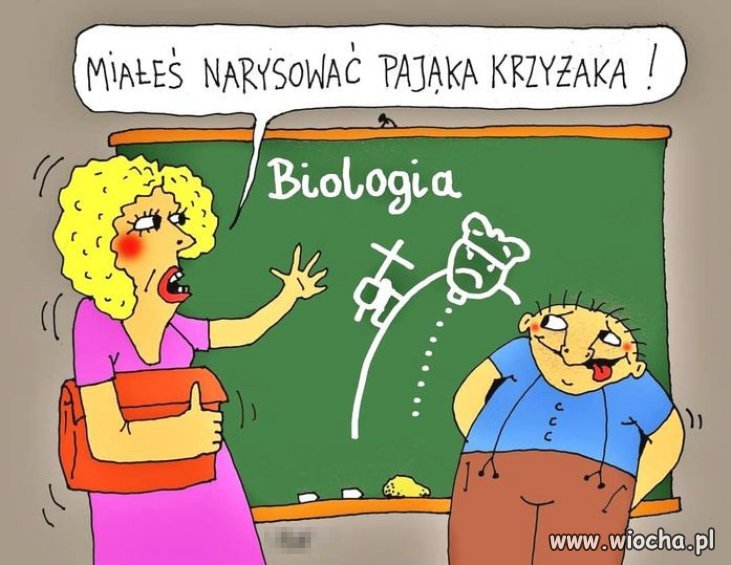 A wyszła pijawka watykańska...pasożyt pospolity...