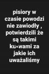 Nic dodać, nic ująć 