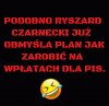 Rysio to taki pisowski cwaniaczek