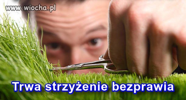 Przyjrzeliśmy się działaniom rządu w walce z bezprawiem