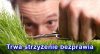 Przyjrzeliśmy się działaniom rządu w walce z bezprawiem