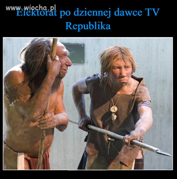 Z nimi nie ma żartów