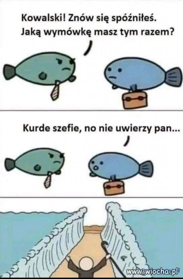 Dobra wymówka to podstawa 