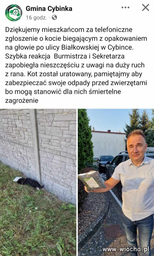 Wójt i Czerepach nadal w akcji
