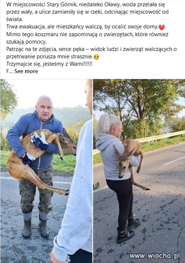 Mimo trudnej sytuacji, ludzie pokazuja humanizm.