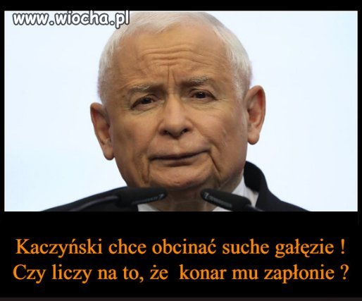 A tam brak konara 