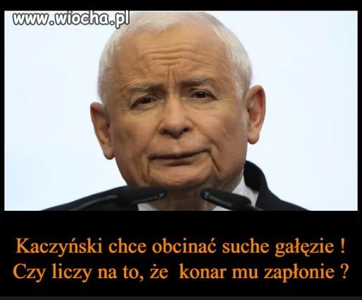 A tam brak konara 