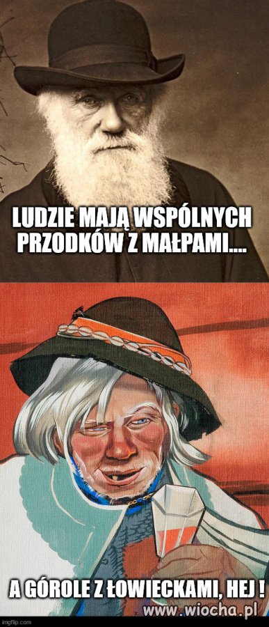 Teoryja Ewolucyi