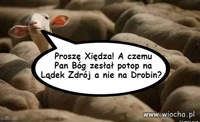 Parafianin pyta...