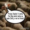 Parafianin pyta...